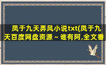 凤于九天弄风小说txt(凤于九天百度网盘资源～谁有阿,全文番外,谢谢阿)