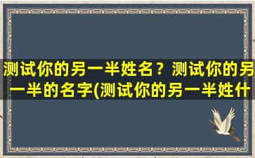 测试你的另一半姓名？测试你的另一半的名字(测试你的另一半姓什么)